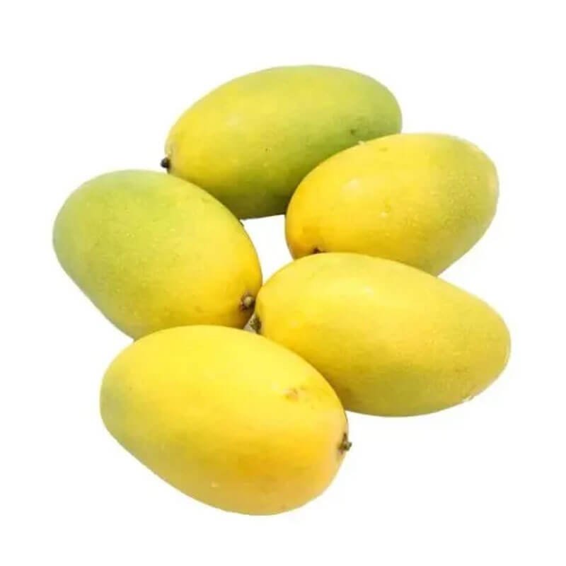 chausa-mango