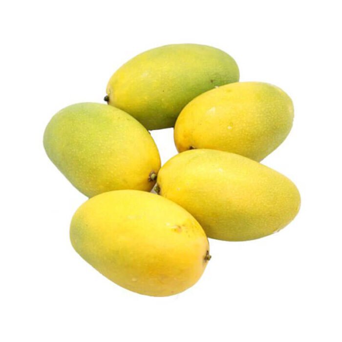 dashehari-mango-medium-size