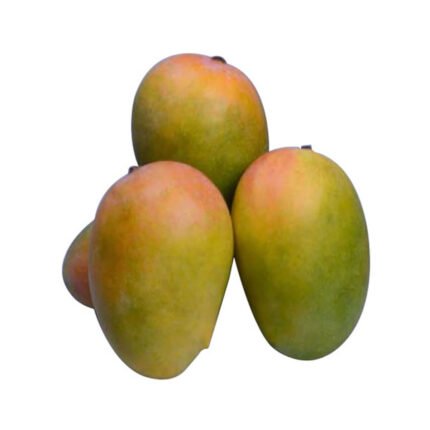 kesar-mango