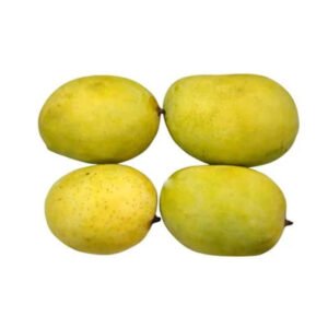 malda-mango-medium-size