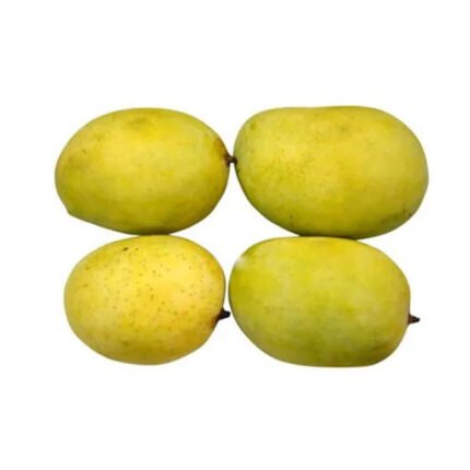 malda-mango-medium-size