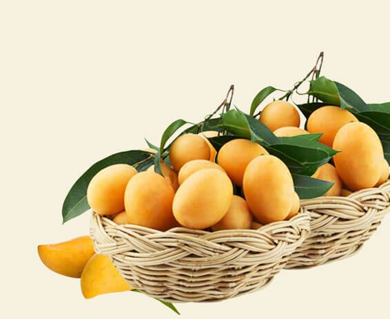 malda-mangoes