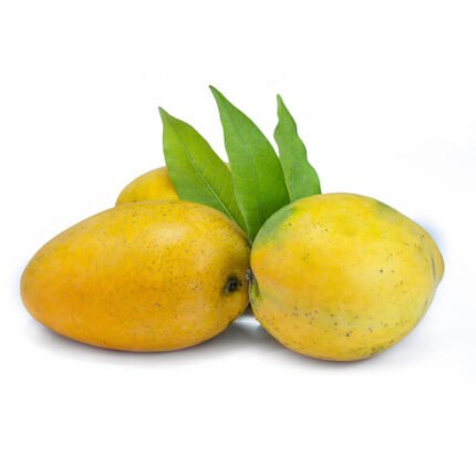 premium-chausa-mango