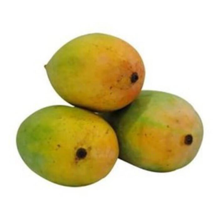 premium-malda-mango