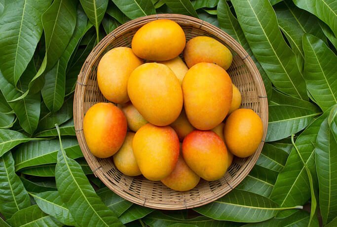 Premium Quality Mangoes