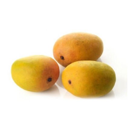 zardalu-mango-medium-size