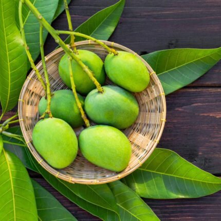 Bombay Green Mango