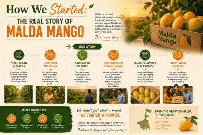 How We Started: The Real Story of Malda Mango