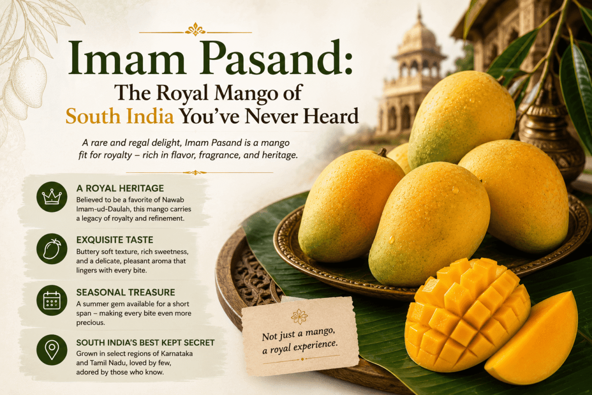 Imam Pasand: The Royal Mango of South India You've Never Heard