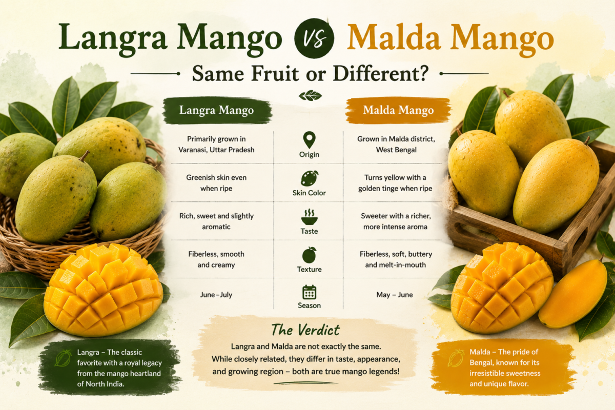 Langra Mango vs Malda Mango: Same Fruit or Different?
