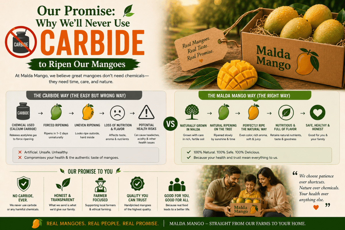 Our Promise: Why We'll Never Use Carbide to Ripen Our Mangoes