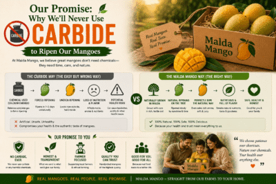 Our Promise: Why We'll Never Use Carbide to Ripen Our Mangoes