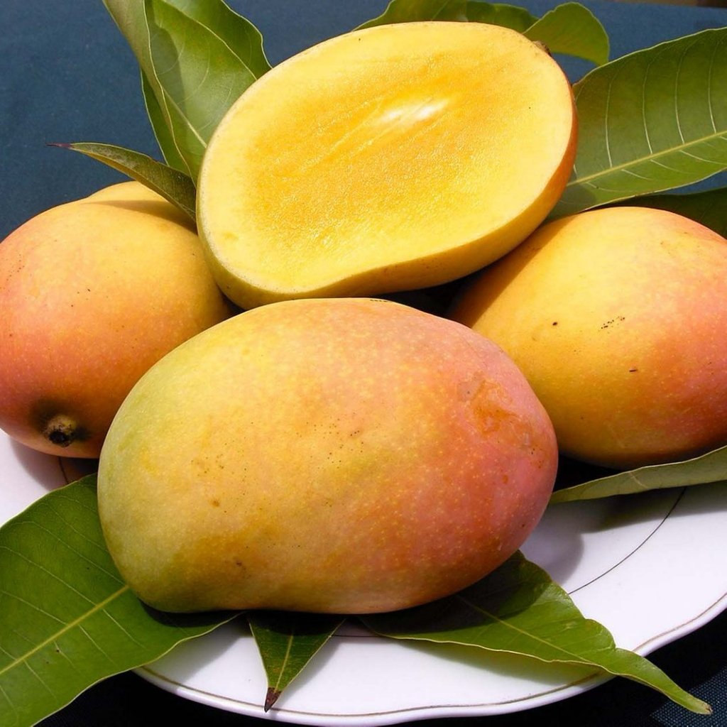 rajapuri-mango