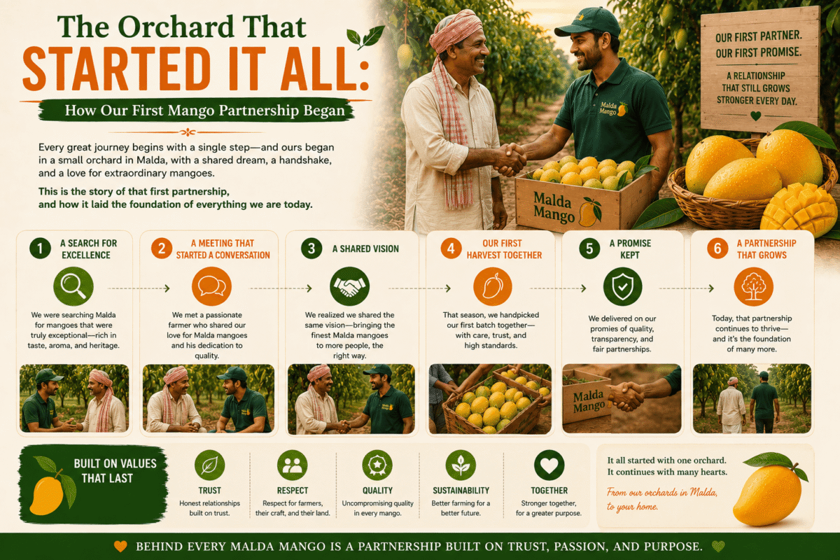 The Orchard That Started It All: How Our First Mango Partnership Began