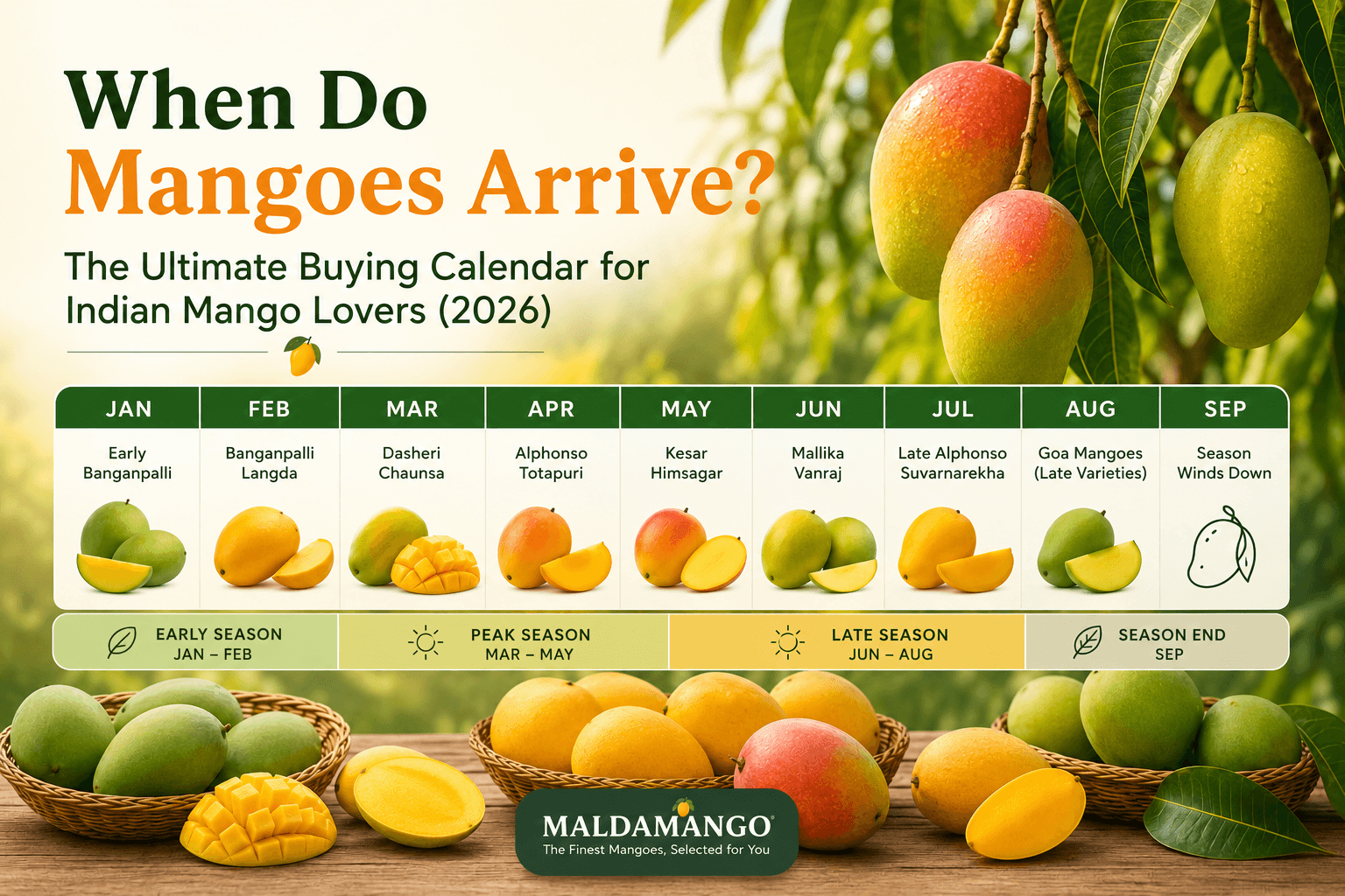 When Do Mangoes Arrive? The Ultimate Buying Calendar for Indian Mango Lovers (2026)
