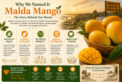 Why We Named It Malda Mango: The Story Behind Our Brand