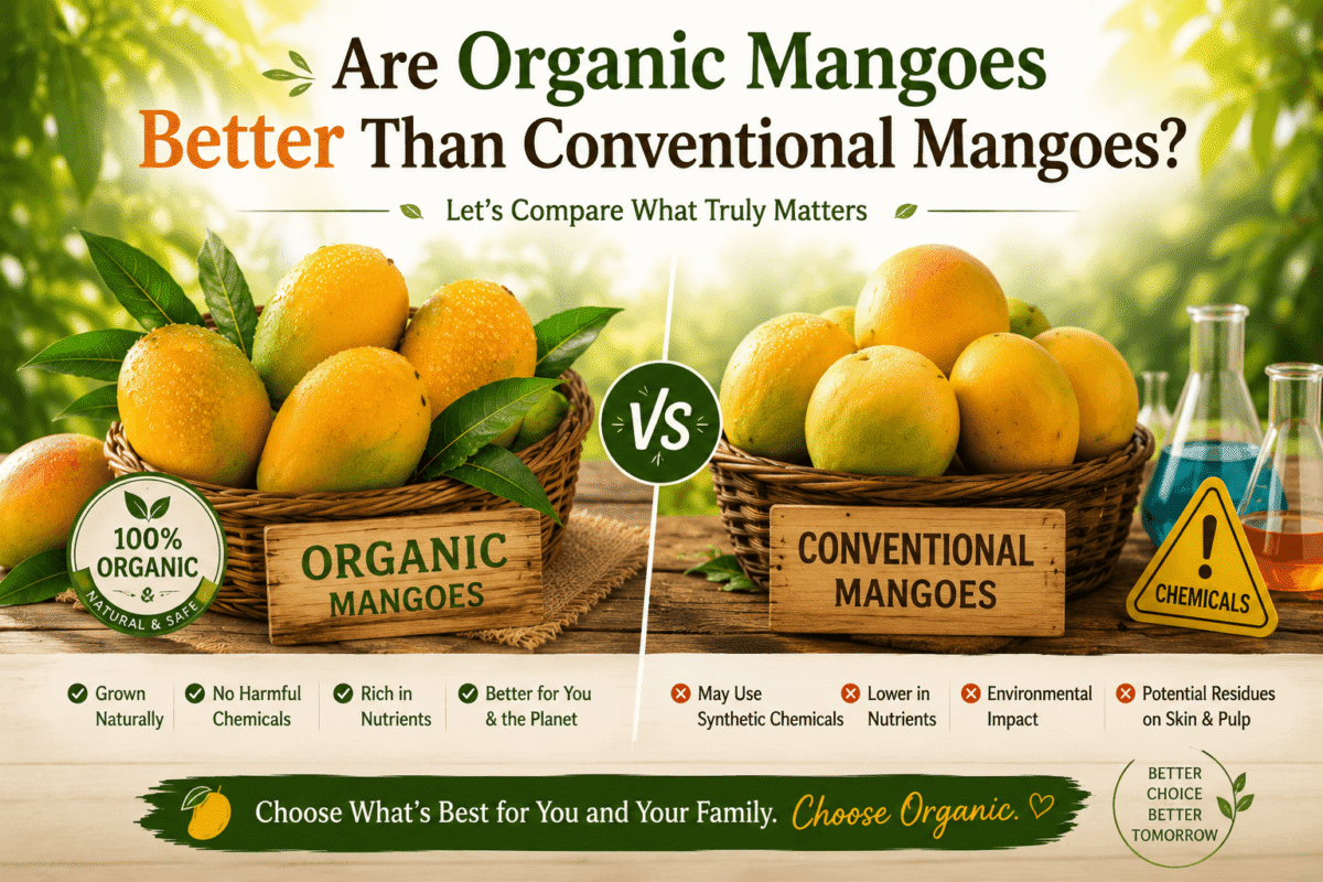 Are Organic Mangoes Better Than Conventional Mangoes?