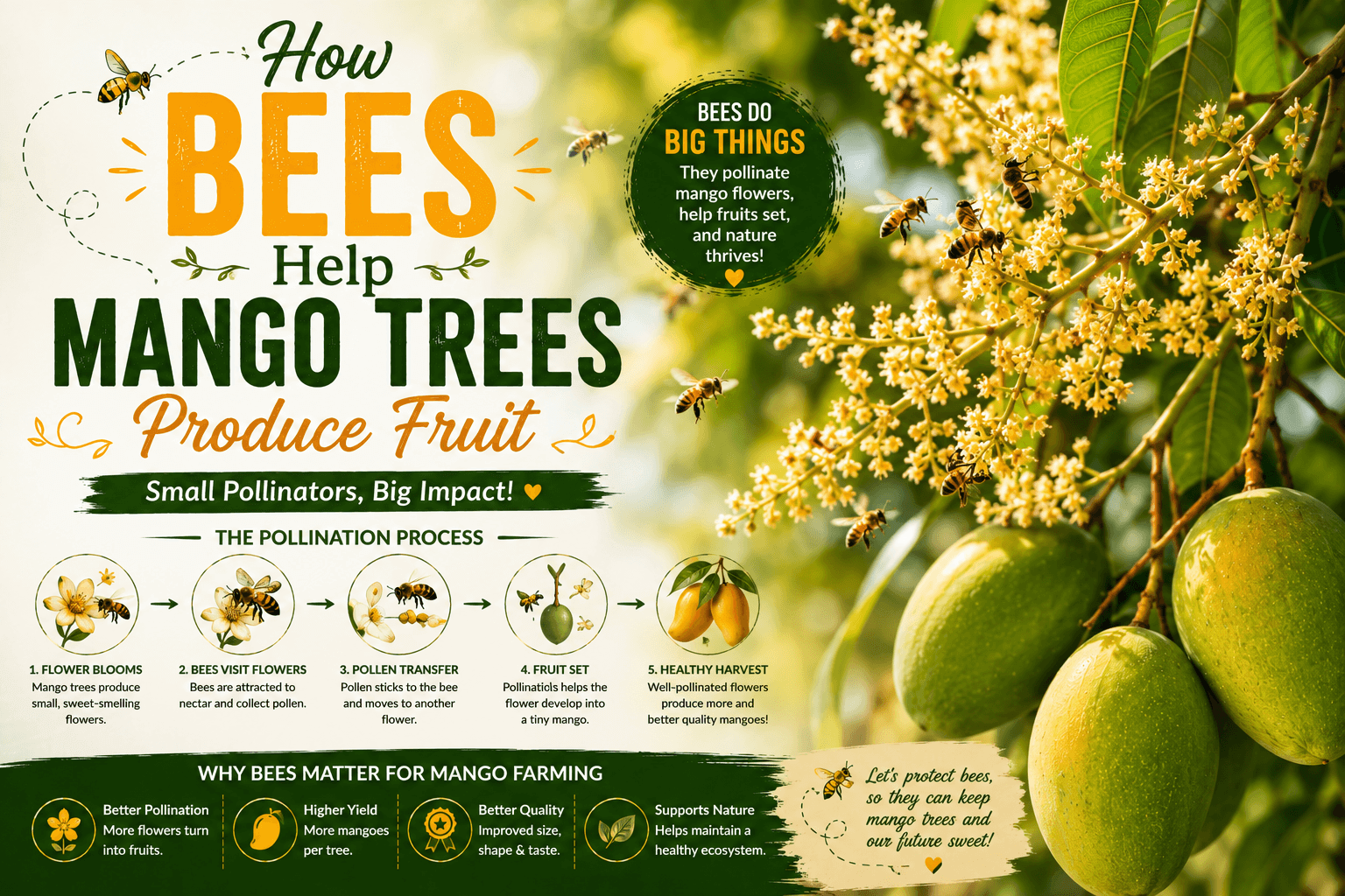 How Bees Help Mango Trees Produce Fruit