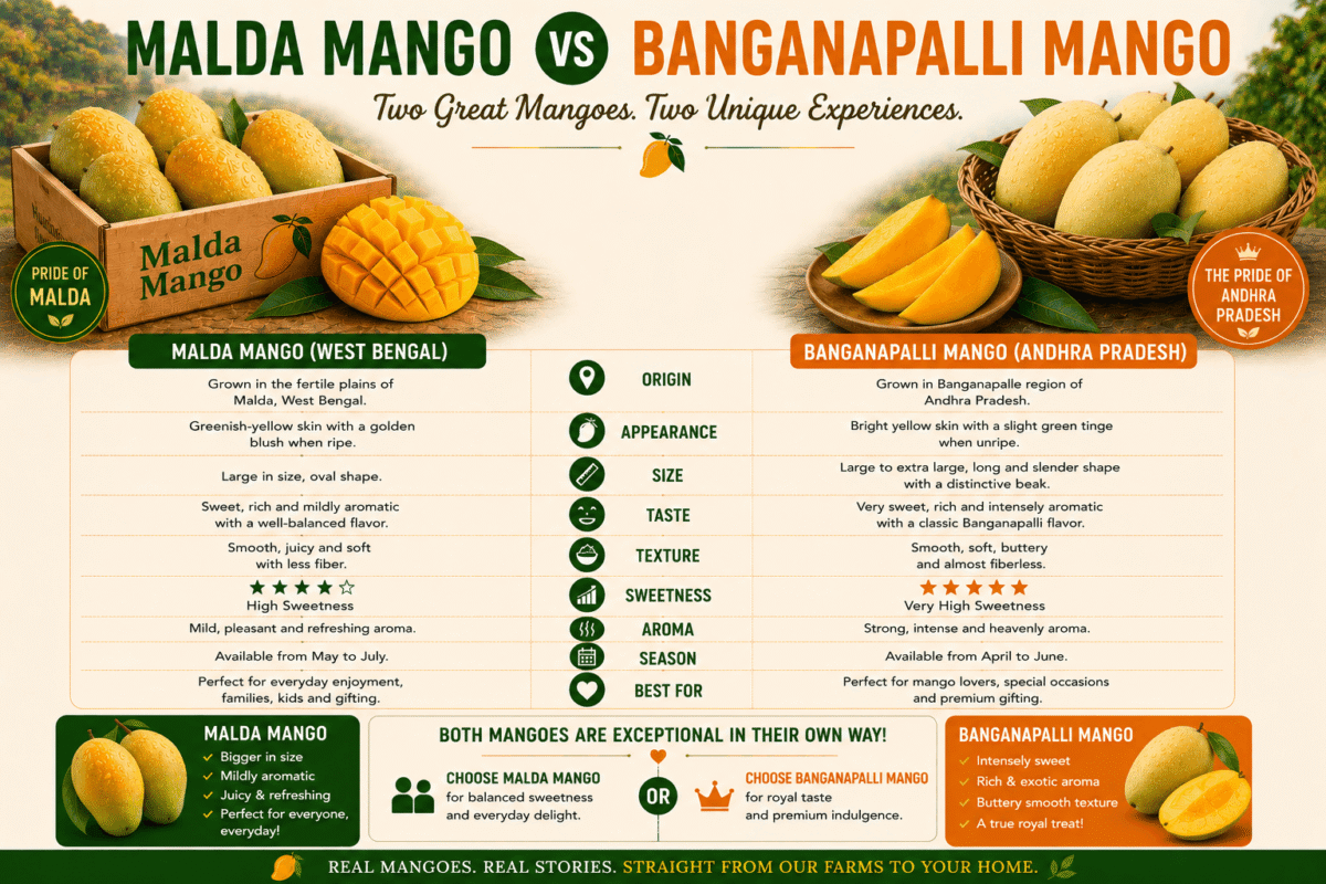 Malda Mango vs Banganapalli Mango