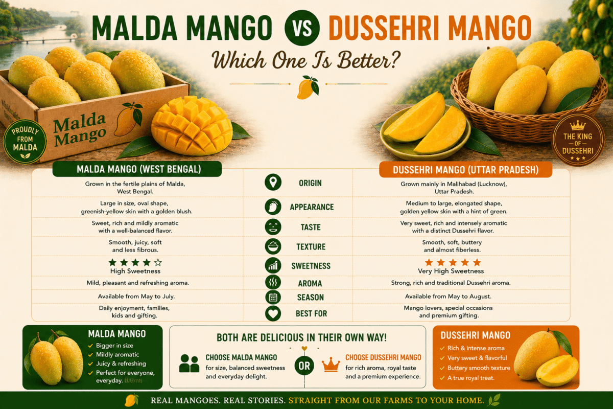 Malda Mango vs Dussehri Mango: Which One Is Better?