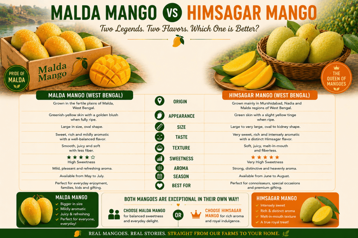 Malda Mango vs Himsagar Mango