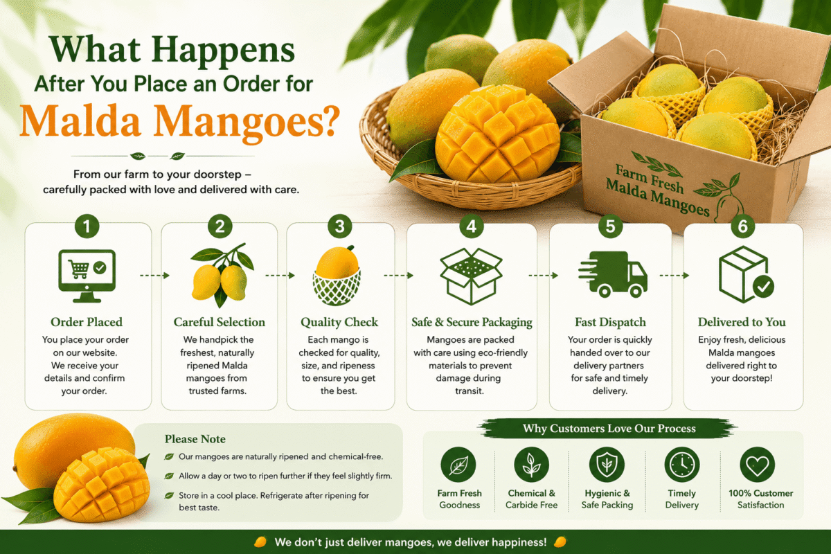 What Happens After You Place an Order for Malda Mangoes?