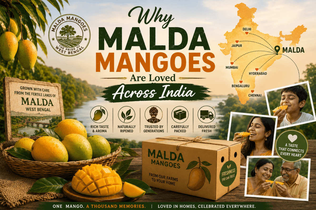 Why Malda Mangoes Are Loved Across India