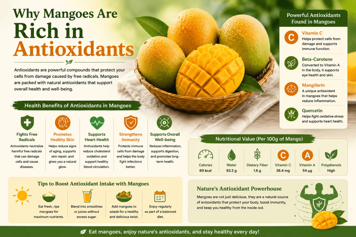 Why Mangoes Are Rich in Antioxidants