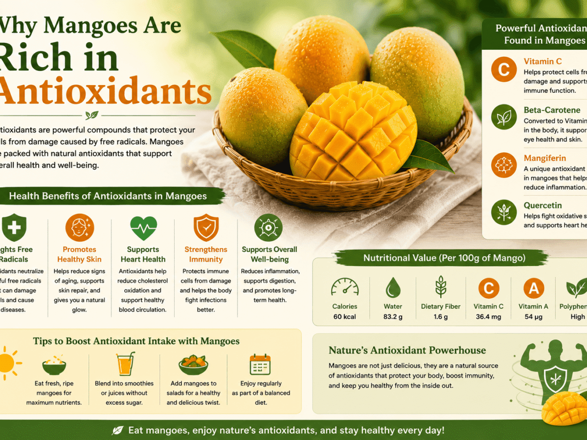 Why Mangoes Are Rich in Antioxidants