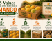 5 Values That Drive Every Box of Mango We Send You