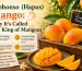 Alphonso (Hapus) Mango: Why It's Called the King of Mangoes