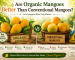 Are Organic Mangoes Better Than Conventional Mangoes?
