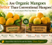 Are Organic Mangoes Better Than Conventional Mangoes?