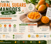 Are the Natural Sugars in Mangoes Healthy? Everything You Need to Know