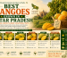 Best Mangoes Grown in Uttar Pradesh