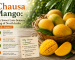 Chausa Mango: The Sweet Late-Season King of North India (July–August)