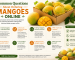 Common Questions About Ordering Mangoes Online