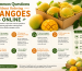 Common Questions About Ordering Mangoes Online