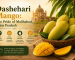 Dashehari Mango: The Pride of Malihabad, Uttar Pradesh