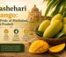 Dashehari Mango: The Pride of Malihabad, Uttar Pradesh
