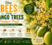 How Bees Help Mango Trees Produce Fruit