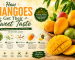 How Mangoes Get Their Sweet Taste