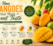 How Mangoes Get Their Sweet Taste