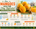 How Mangoes Help You Stay Hydrated During Hot Indian Summers