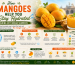 How Mangoes Help You Stay Hydrated During Hot Indian Summers