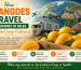 How Mangoes Travel Thousands of Miles Without Losing Freshness