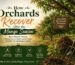 How Orchards Recover After the Mango Season