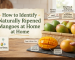 How to Identify Naturally Ripened Mangoes at Home