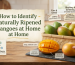 How to Identify Naturally Ripened Mangoes at Home