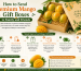 How to Send Premium Mango Gift Boxes to Family and Friends
